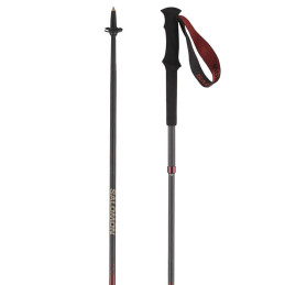 Salomon Poles Quest Carbon...