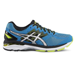 ⬤ Asics GT2000 4 2E