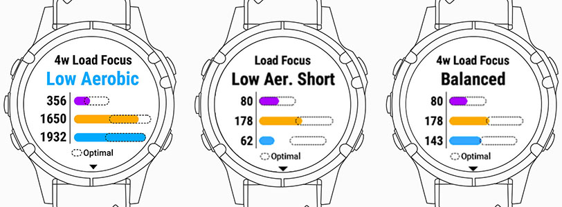 Training Load Focus
